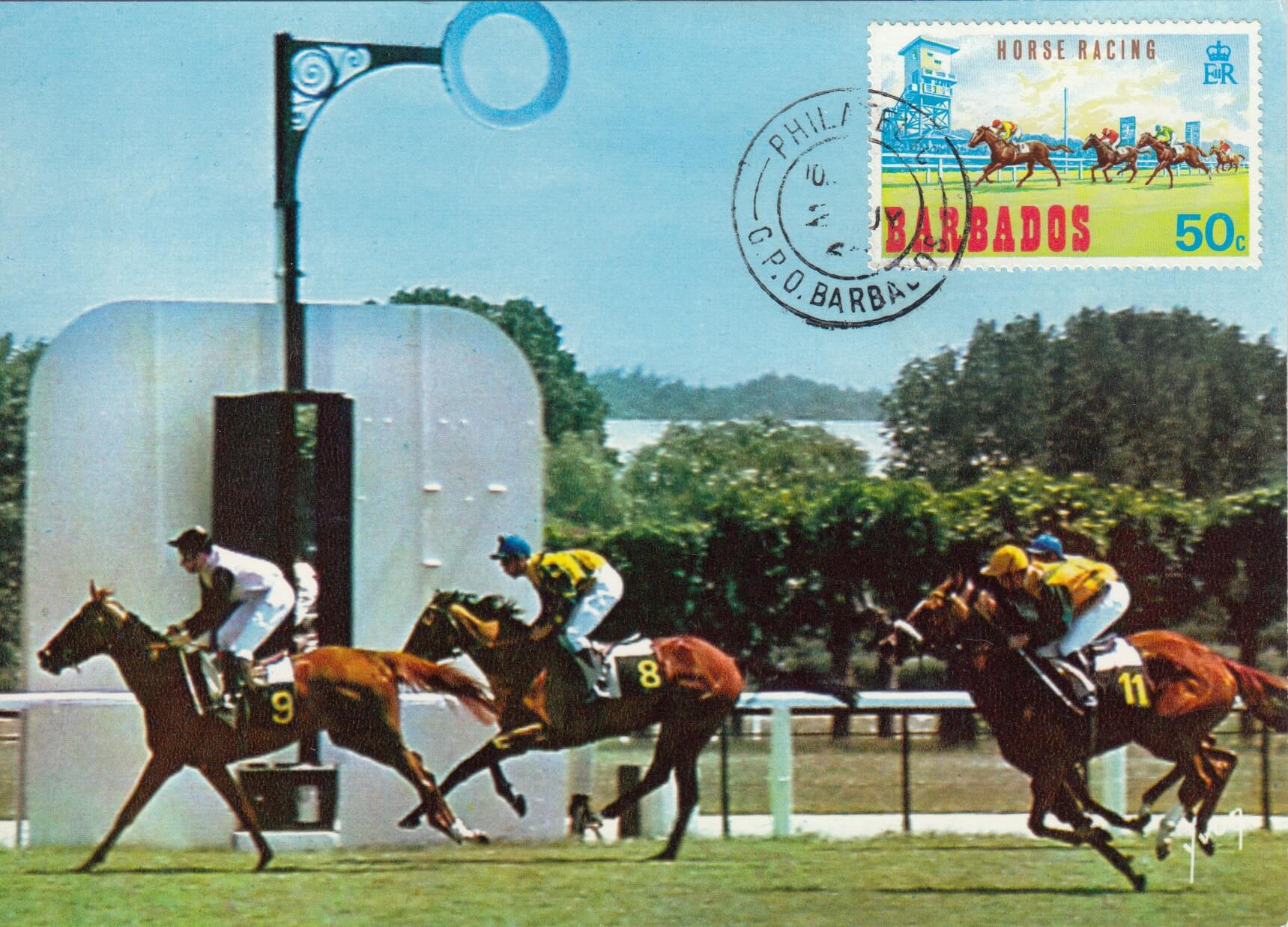 Barbados Horse Racing Commemorative or Souvenir Postcard 1