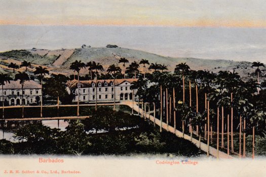 Barbados Postcard of Codrington College