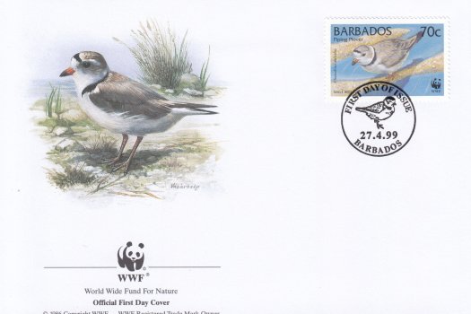 Barbados 1999 | Endangered Species Piping Plover FDC 4