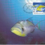 Barbados 2006 | Queen Triggerfish Maximum Card $1.40 stamp