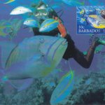 Barbados 2006 | Queen Triggerfish Maximum Card 10c stamp